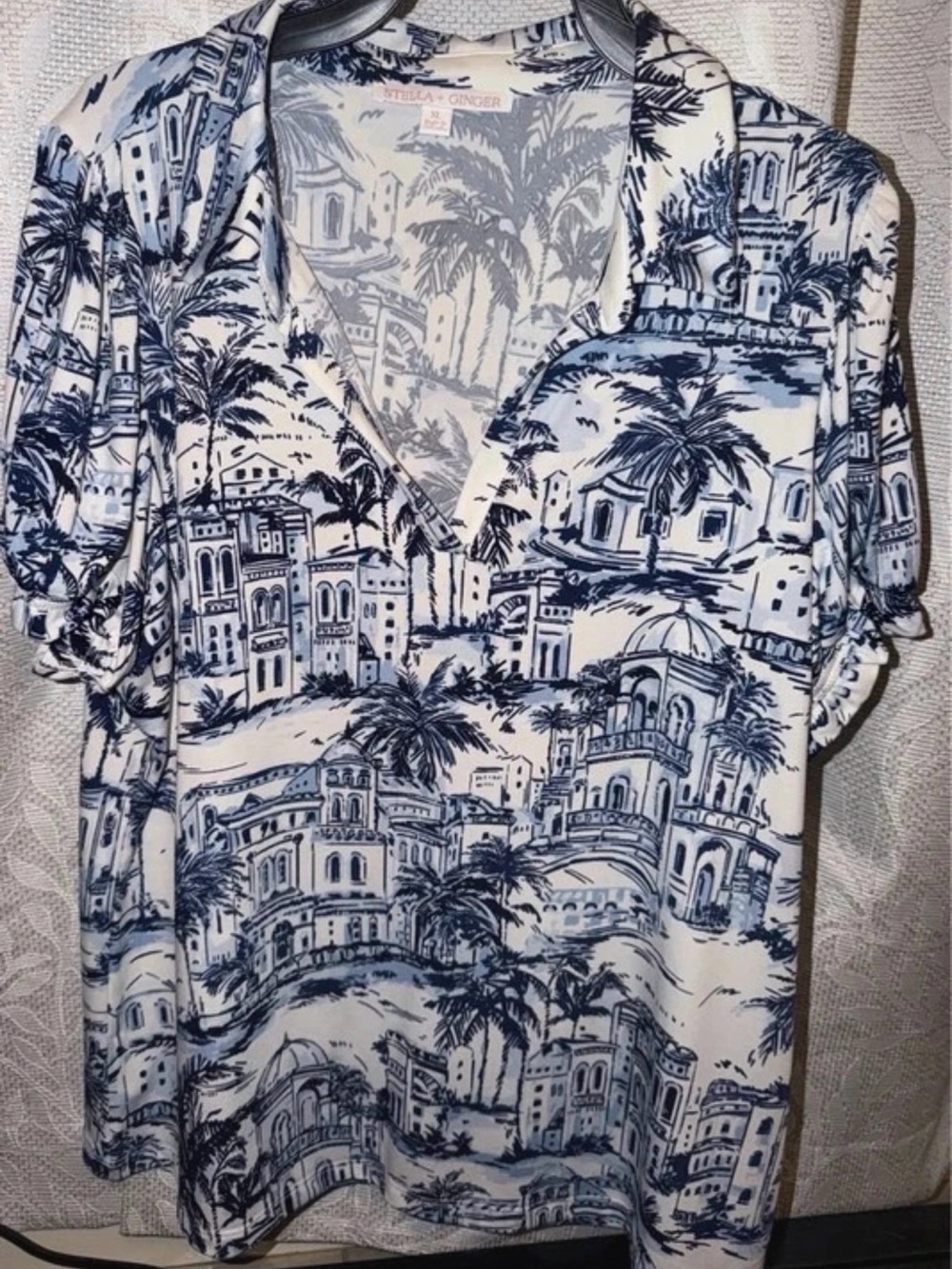 Blue & White Scenic Print Women’s Top